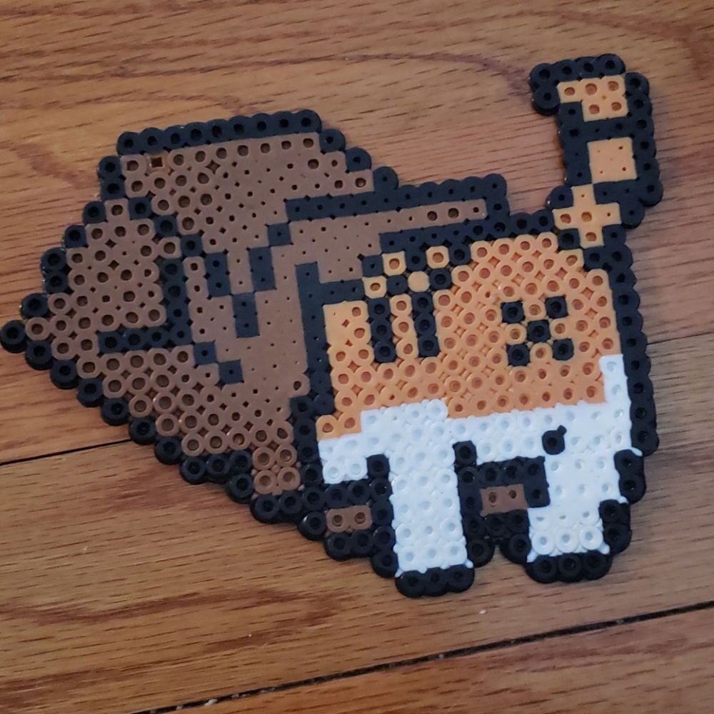 neko atsume cat in a box